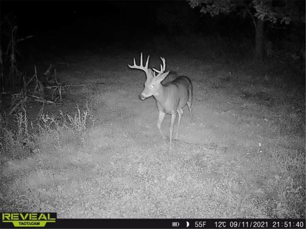 3231 Highway 65 Peace Twp MN 55051 7036612 image64