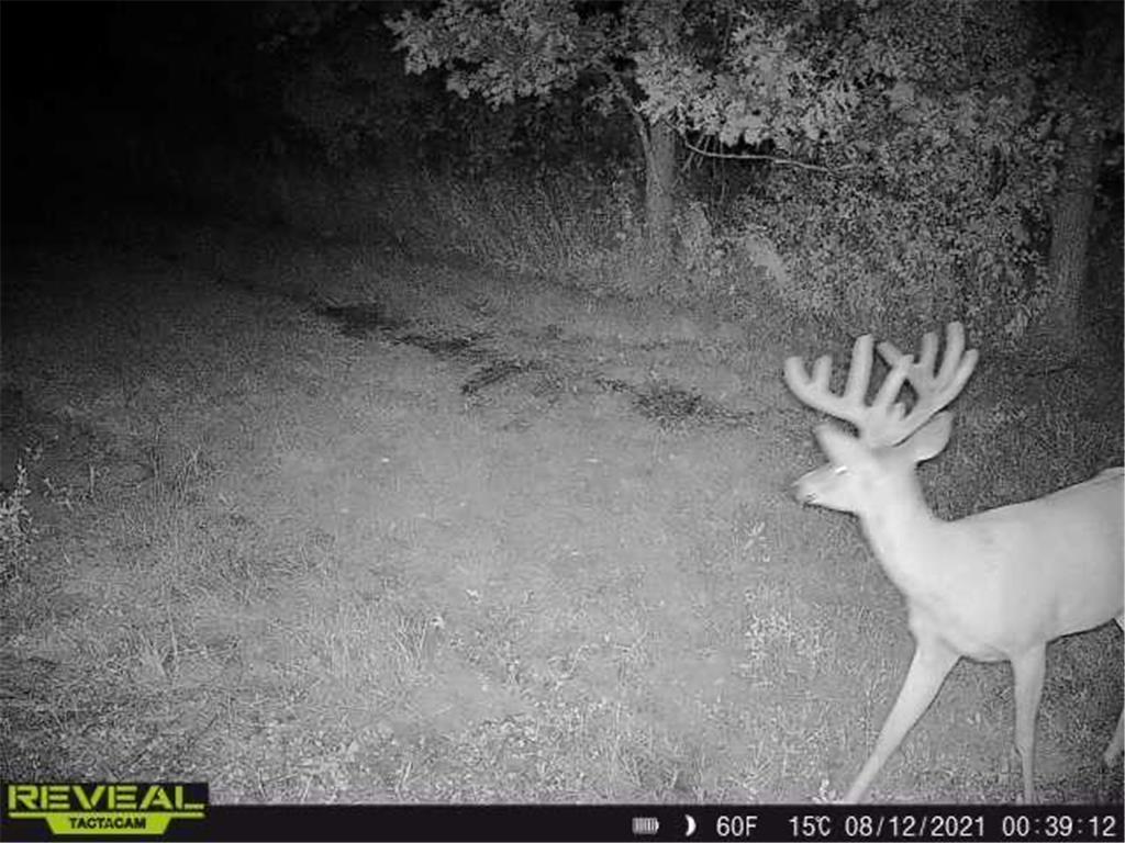 3231 Highway 65 Peace Twp MN 55051 7036612 image65