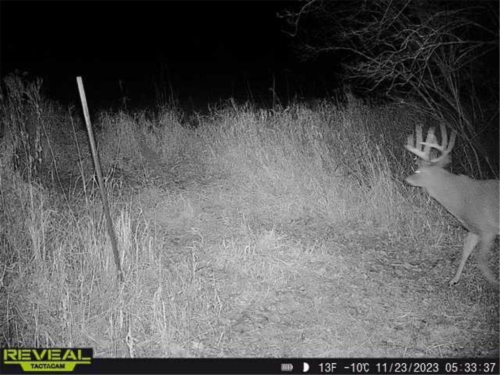 3231 Highway 65 Peace Twp MN 55051 7036612 image66