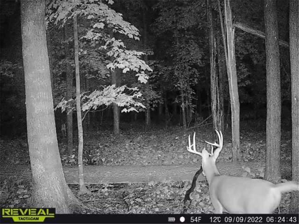 3231 Highway 65 Peace Twp MN 55051 7036612 image67