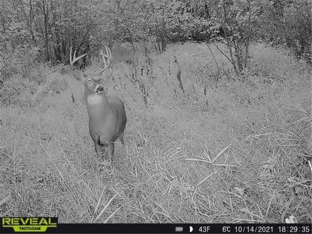 3231 Highway 65 Peace Twp MN 55051 7036612 image68