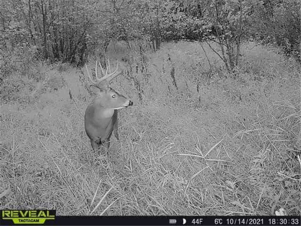 3231 Highway 65 Peace Twp MN 55051 7036612 image69