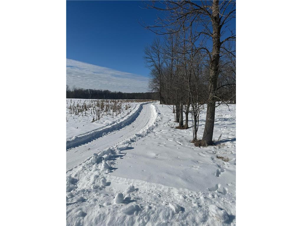 3231 Highway 65 Peace Twp MN 55051 7036612 image74