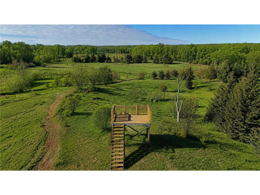 3231 Highway 65 Peace Twp MN 55051 7036612 image9