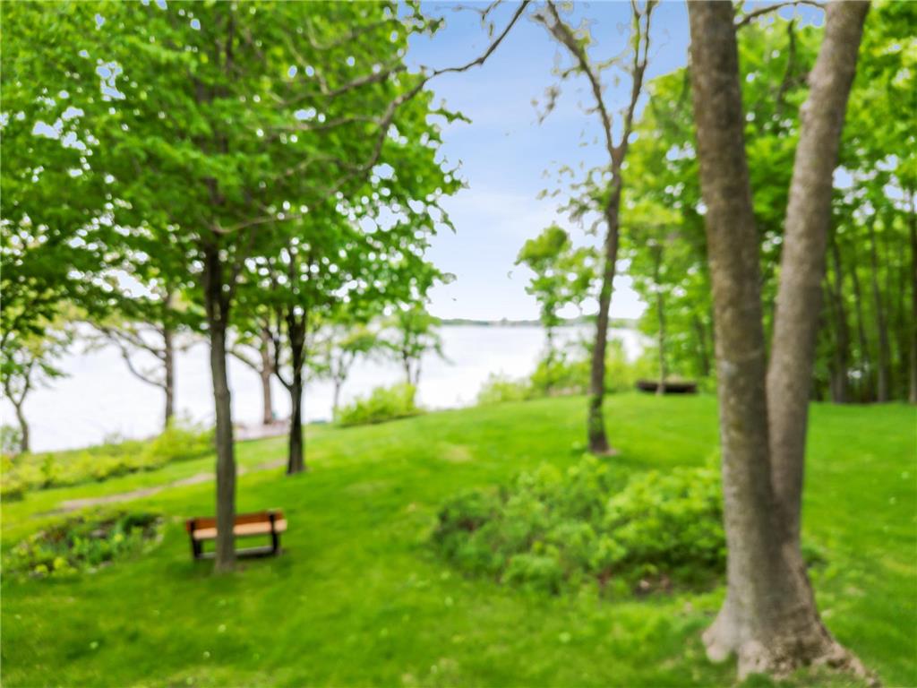 32331 Loon Drive Candor Twp MN 56587 - East Loon 7043985 image34