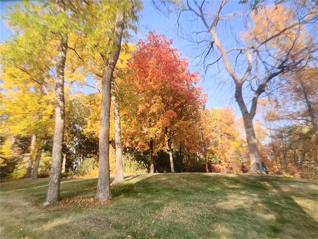 32331 Loon Drive Candor Twp MN 56587 - East Loon 7043985 image42