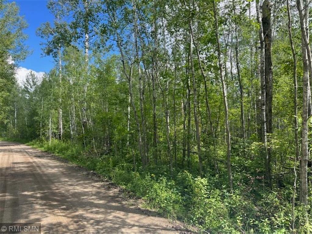 32357 435th Lane, Palisade, MN, 56469 MLS 6253349 Edina Realty