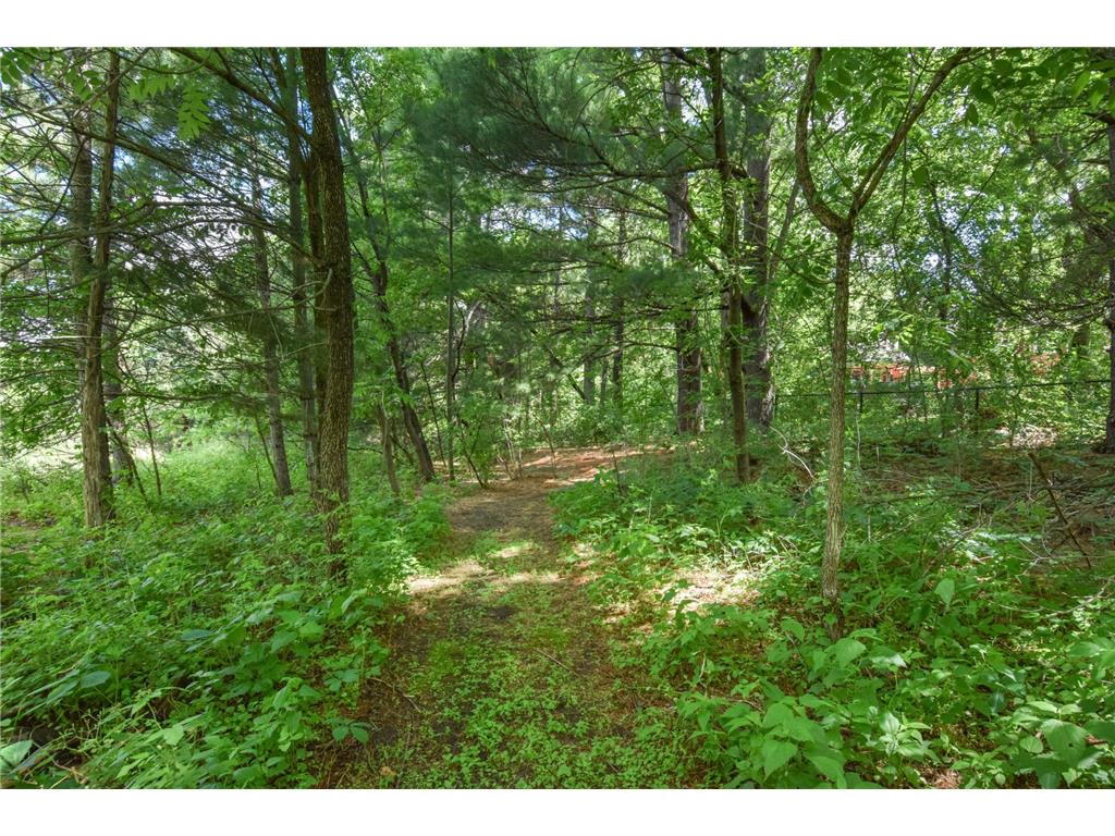 3236 168th Lane NW Andover MN 55304 7095206 image45