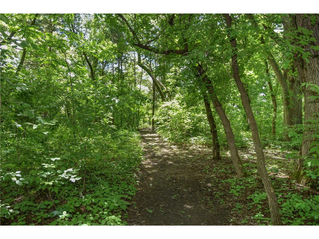 3236 168th Lane NW Andover MN 55304 7095206 image48
