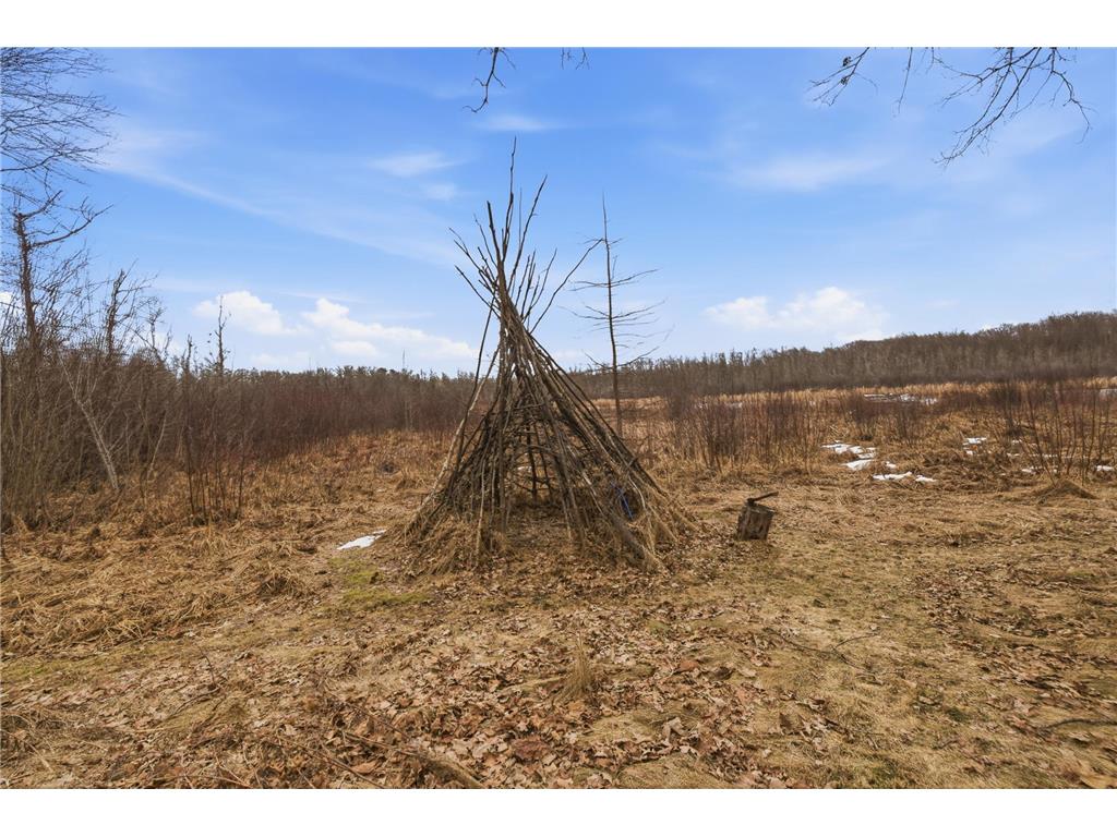 32368 408th Place Farm Island Twp MN 56431 - Ripple River 7022331 image45