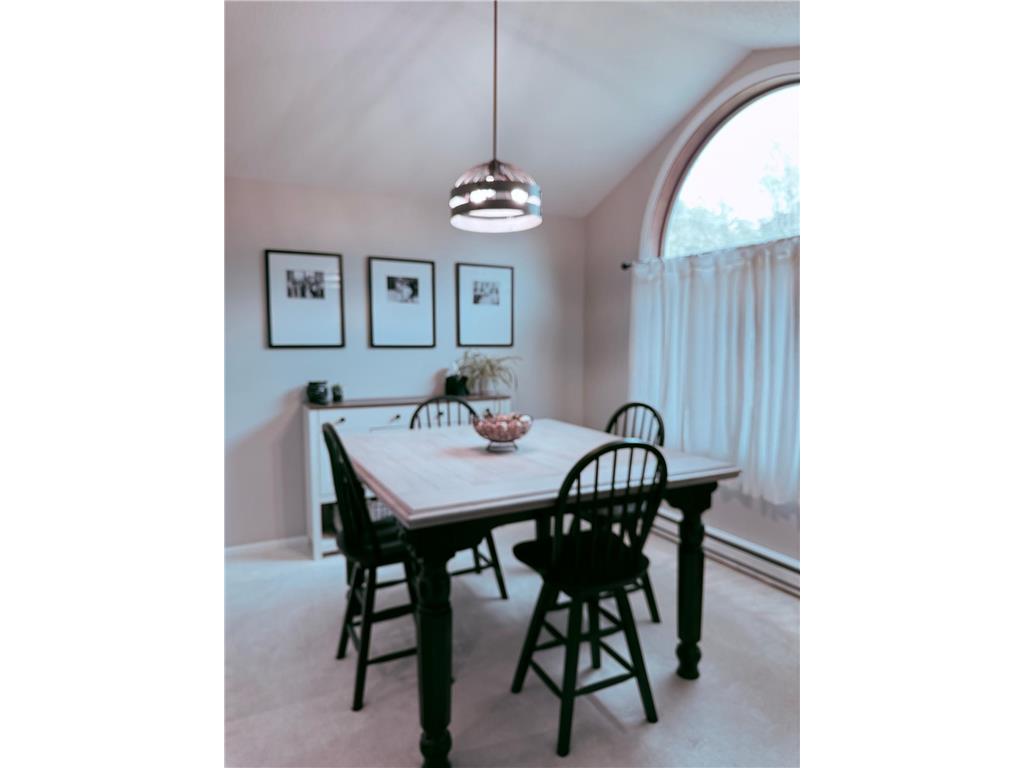 324 Shorewood Circle Detroit Lakes MN 56501 6807681 image3