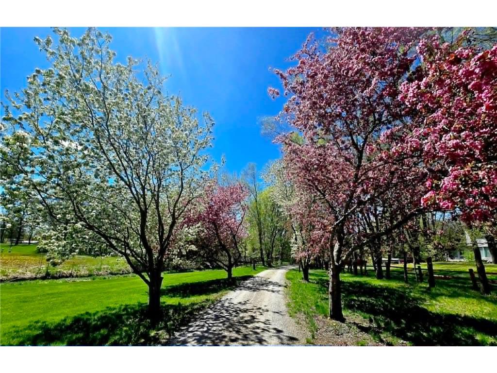 324 W 7th Street Litchfield MN 55355 7071477 image32