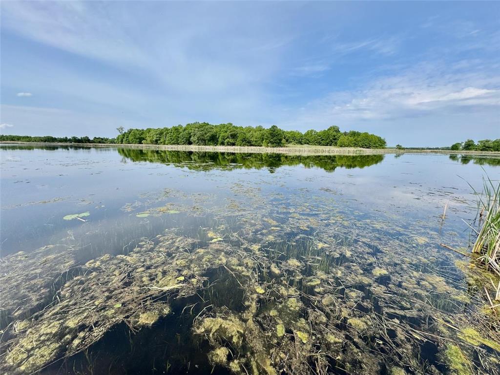 32406 Starland Shore Drive Dent MN 56528 - Star Lake 7031541 image43