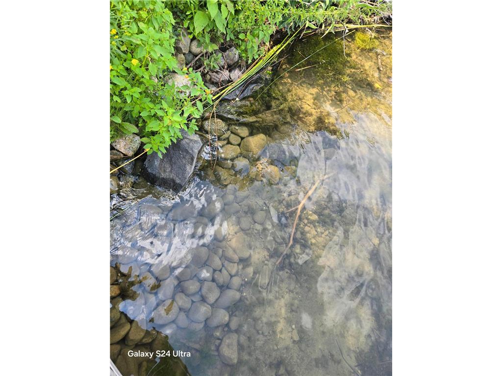 32408 Strawberry Court Sugar Bush E Twp MN 56569 - Strawberry Lake 6775513 image4