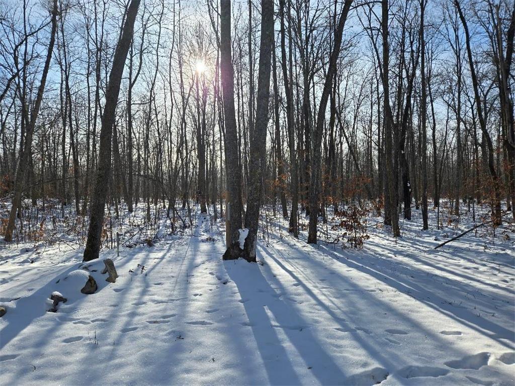 3241 Boreal Lane NW Woodrow Twp MN 56452 - IXL 6825558 image11