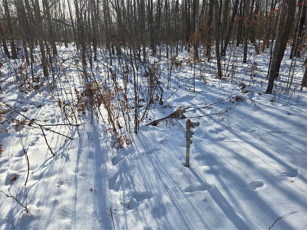 3241 Boreal Lane NW Woodrow Twp MN 56452 - IXL 6825558 image12