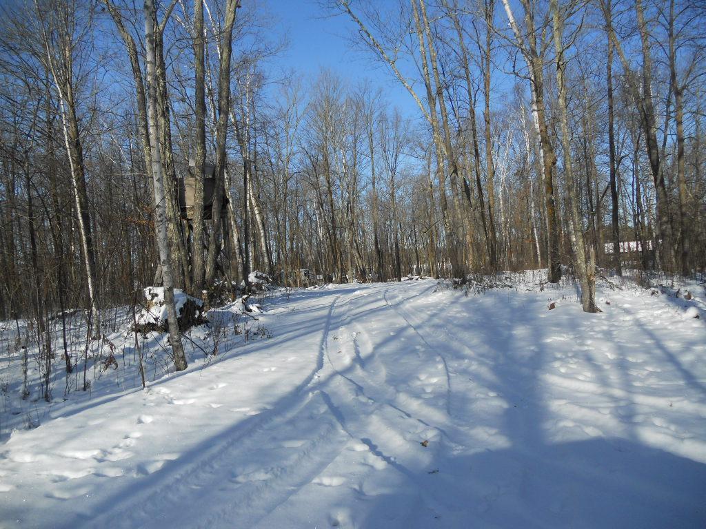 3241 Boreal Lane NW Woodrow Twp MN 56452 - IXL 6825558 image14