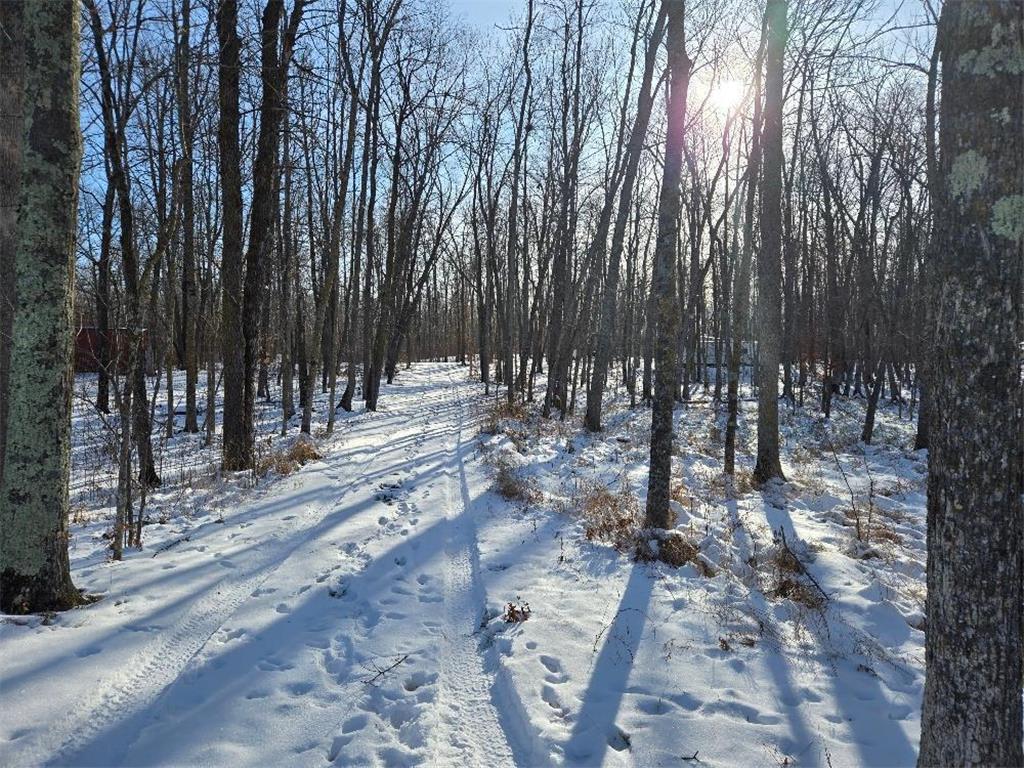 3241 Boreal Lane NW Woodrow Twp MN 56452 - IXL 6825558 image5