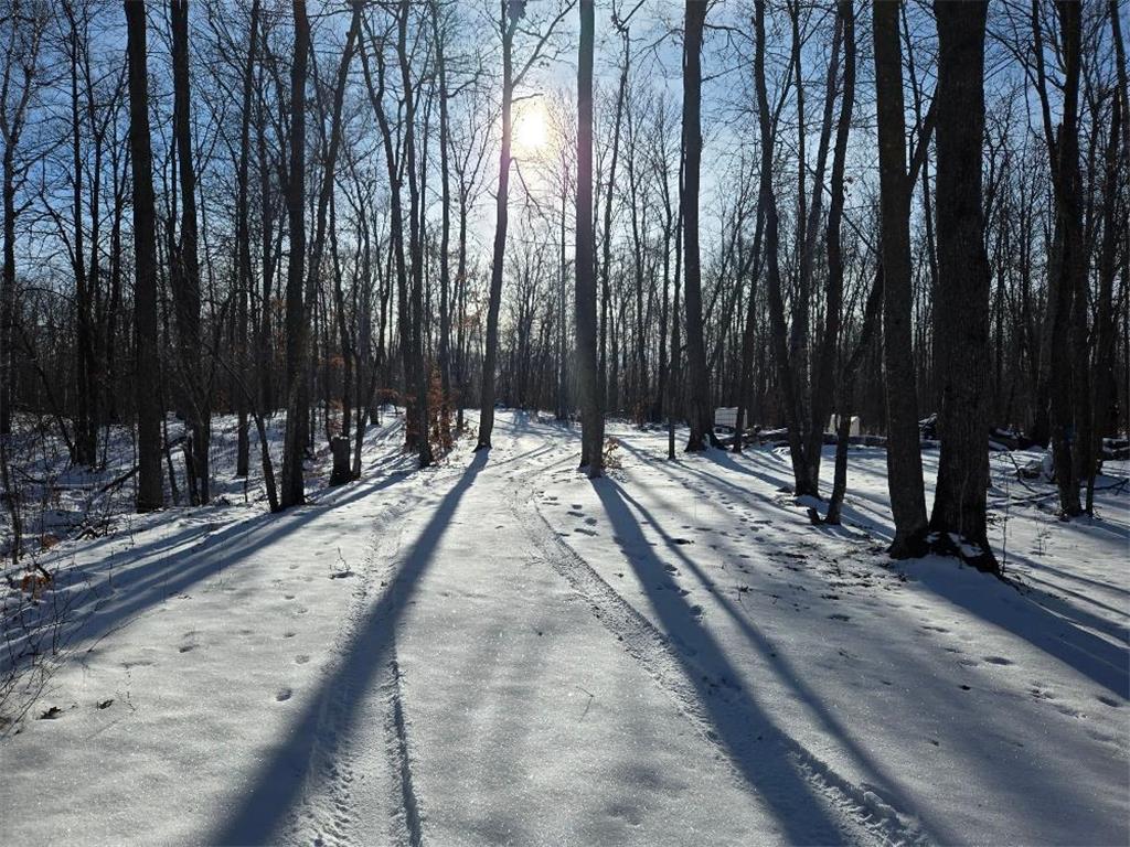 3241 Boreal Lane NW Woodrow Twp MN 56452 - IXL 6825558 image6