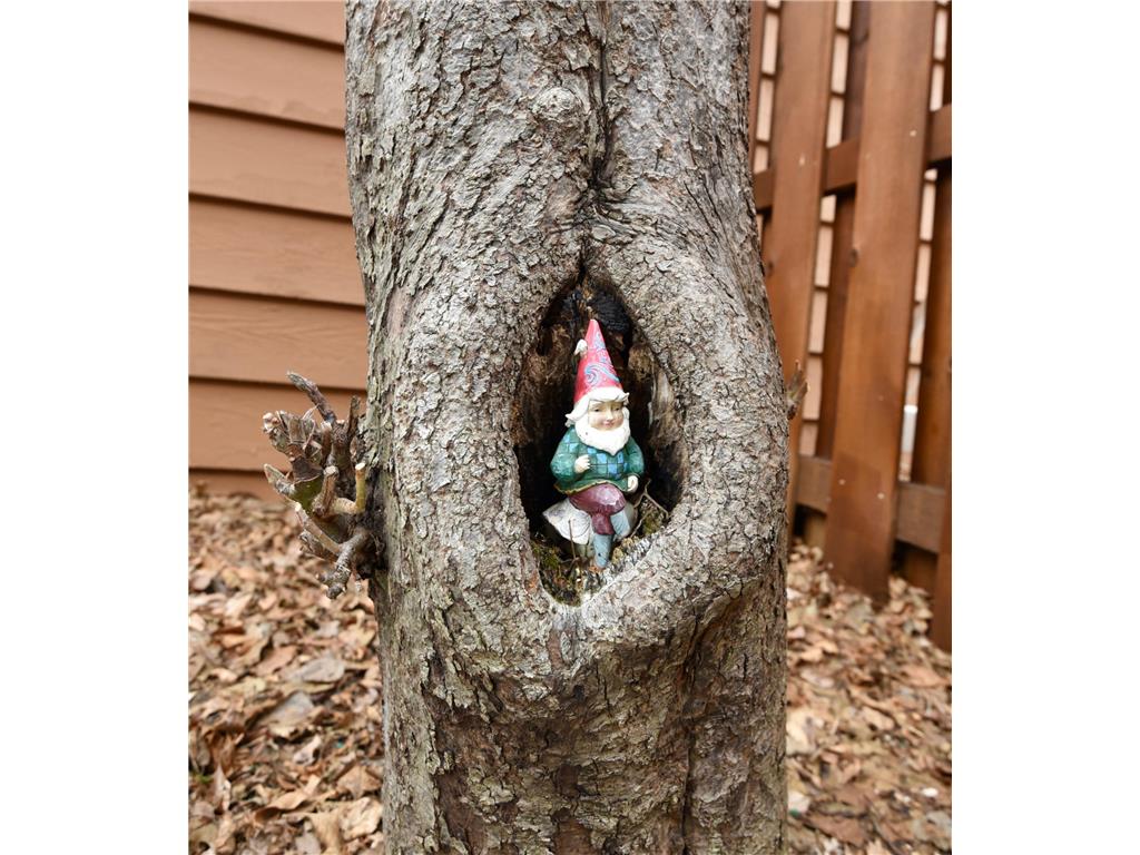 3245 Evergreen Drive Eagan MN 55121 7032302 image8