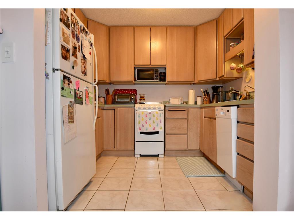 3245 Evergreen Drive Eagan MN 55121 7103445 image15