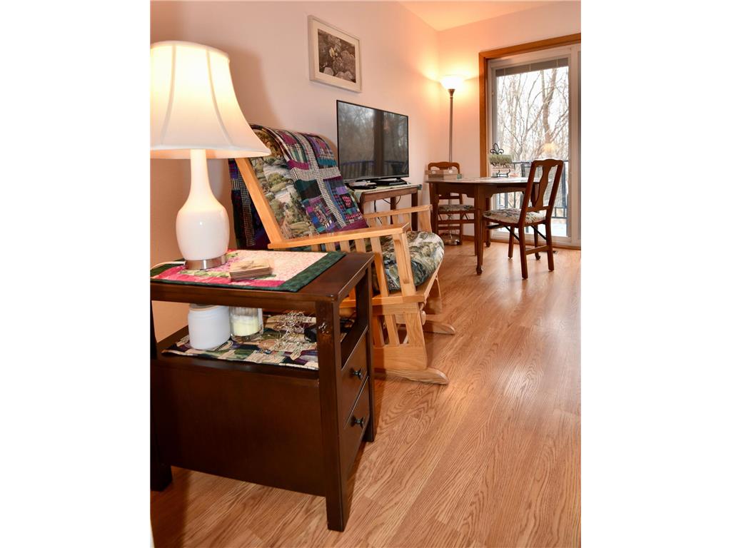 3245 Evergreen Drive Eagan MN 55121 7103445 image33