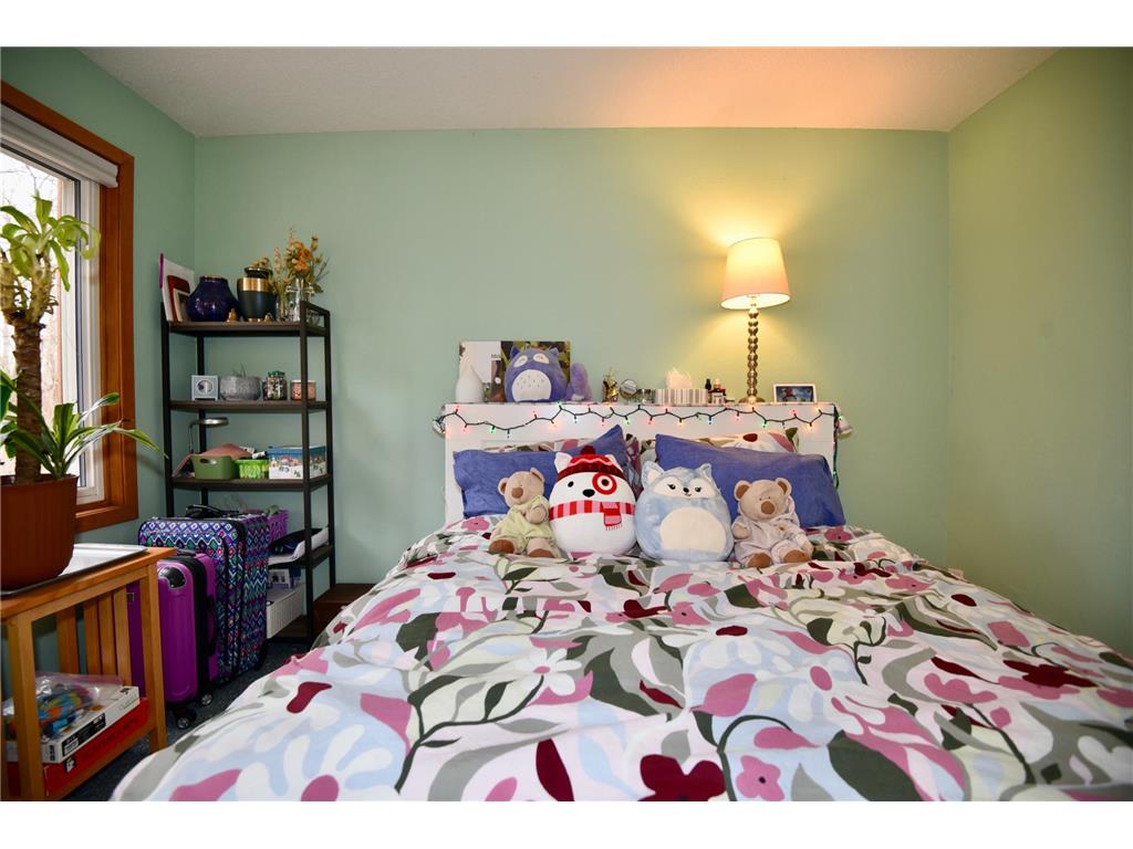 3245 Evergreen Drive Eagan MN 55121 7103445 image35