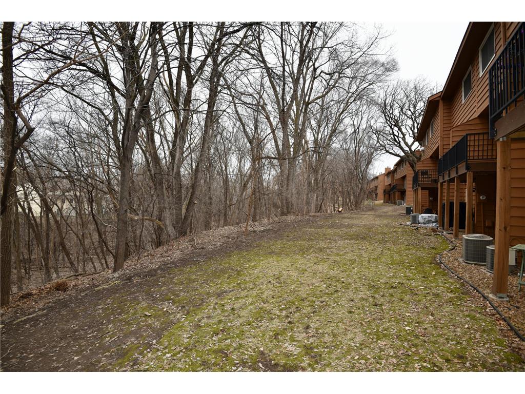 3245 Evergreen Drive Eagan MN 55121 7103445 image7