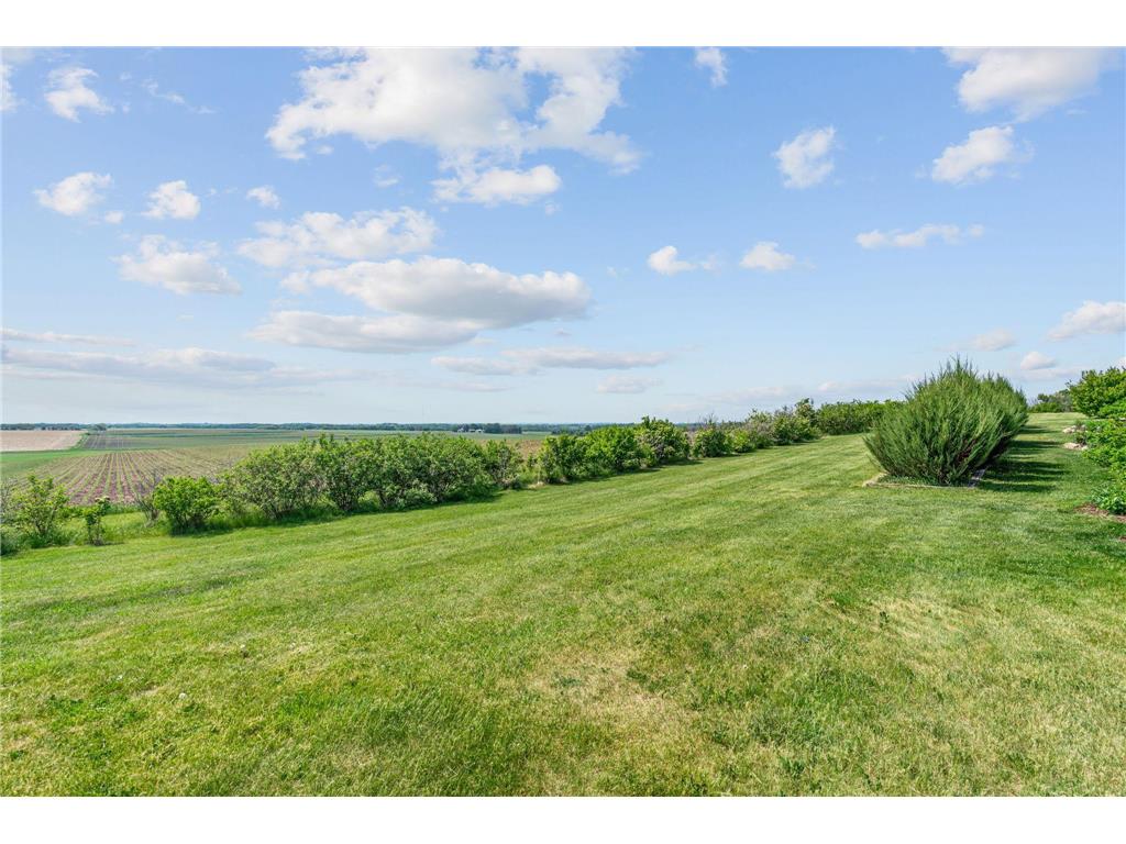 32457 Alexander Court Sciota Twp MN 55057 7077758 image51