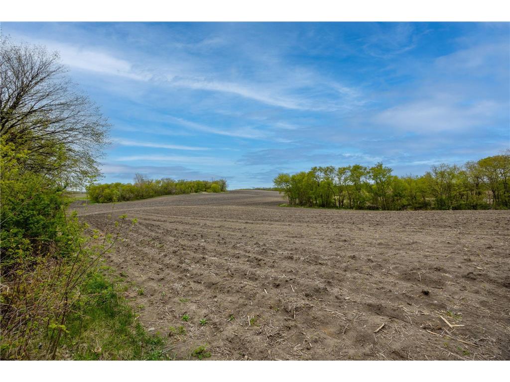 325 County Road 6 SW Howard Lake MN 55349 7066776 image5