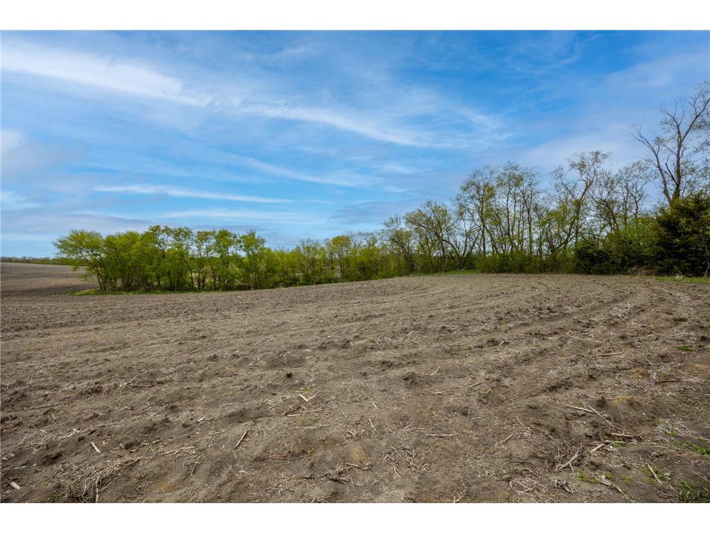 325 County Road 6 SW Howard Lake MN 55349 7066776 image6