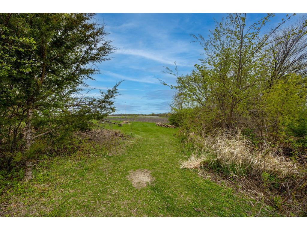 325 County Road 6 SW Howard Lake MN 55349 7066776 image7