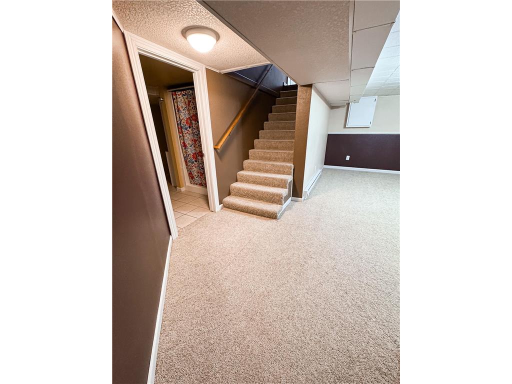 325 Lake Avenue S Paynesville MN 56362 7055191 image39