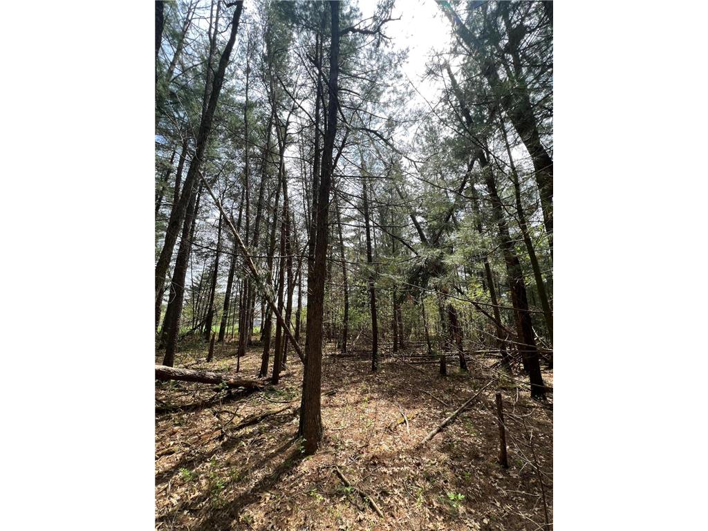 325 W Harrison Avenue Grantsburg WI 54840 6368472 image1