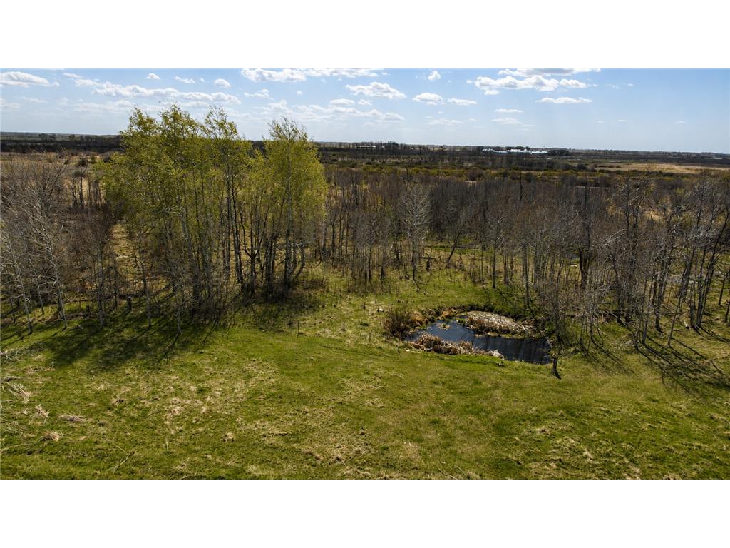 32524 490th Avenue Ottertail MN 56571 7070956 image18