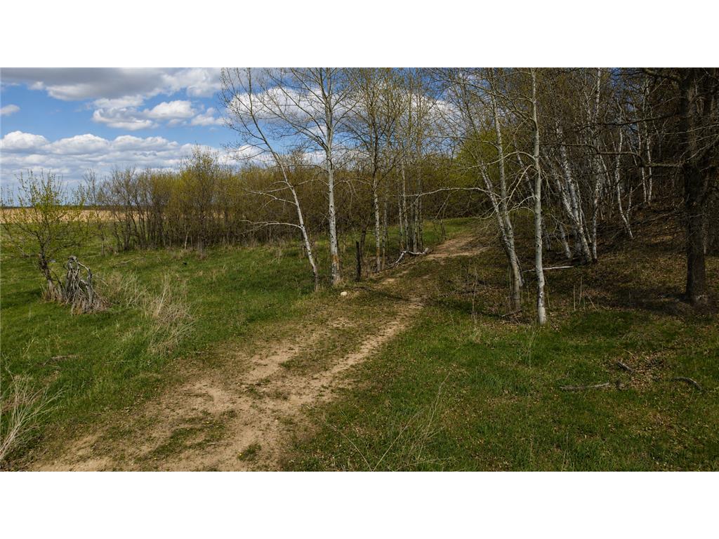32524 490th Avenue Ottertail MN 56571 7070956 image20