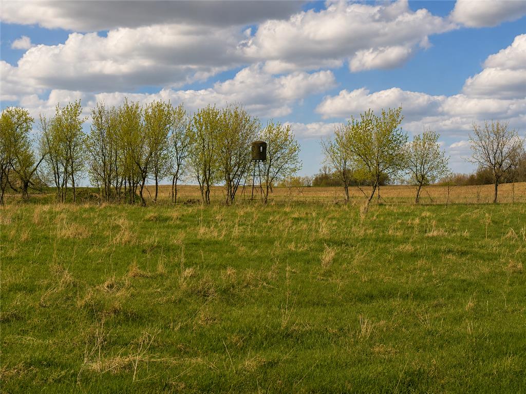 32524 490th Avenue Ottertail MN 56571 7070956 image30