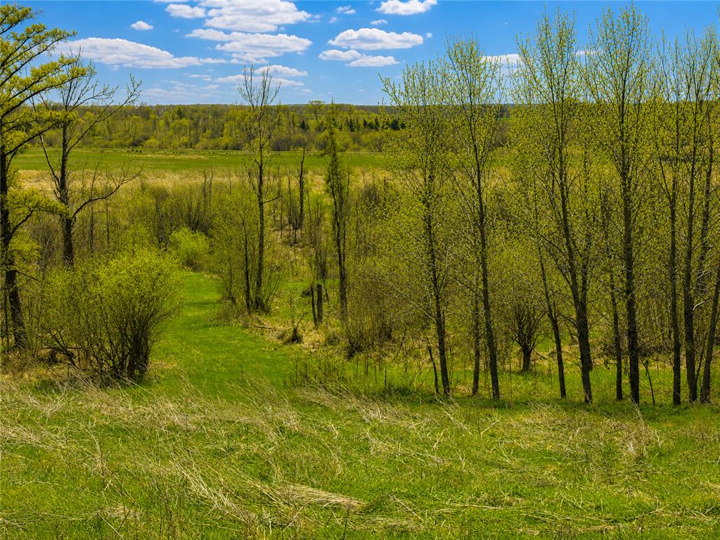 32524 490th Avenue Ottertail MN 56571 7070956 image37