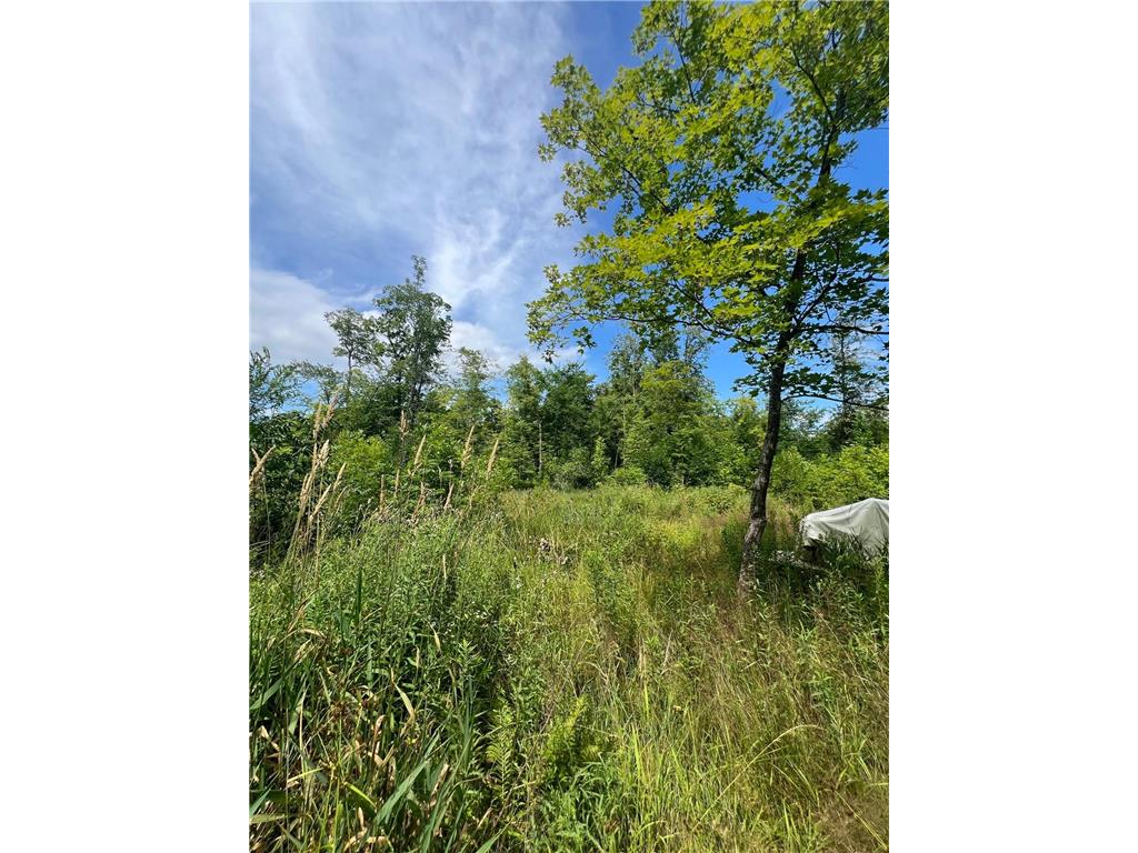 32530 186th Street Lakeside Twp MN 56342 7091927 image10