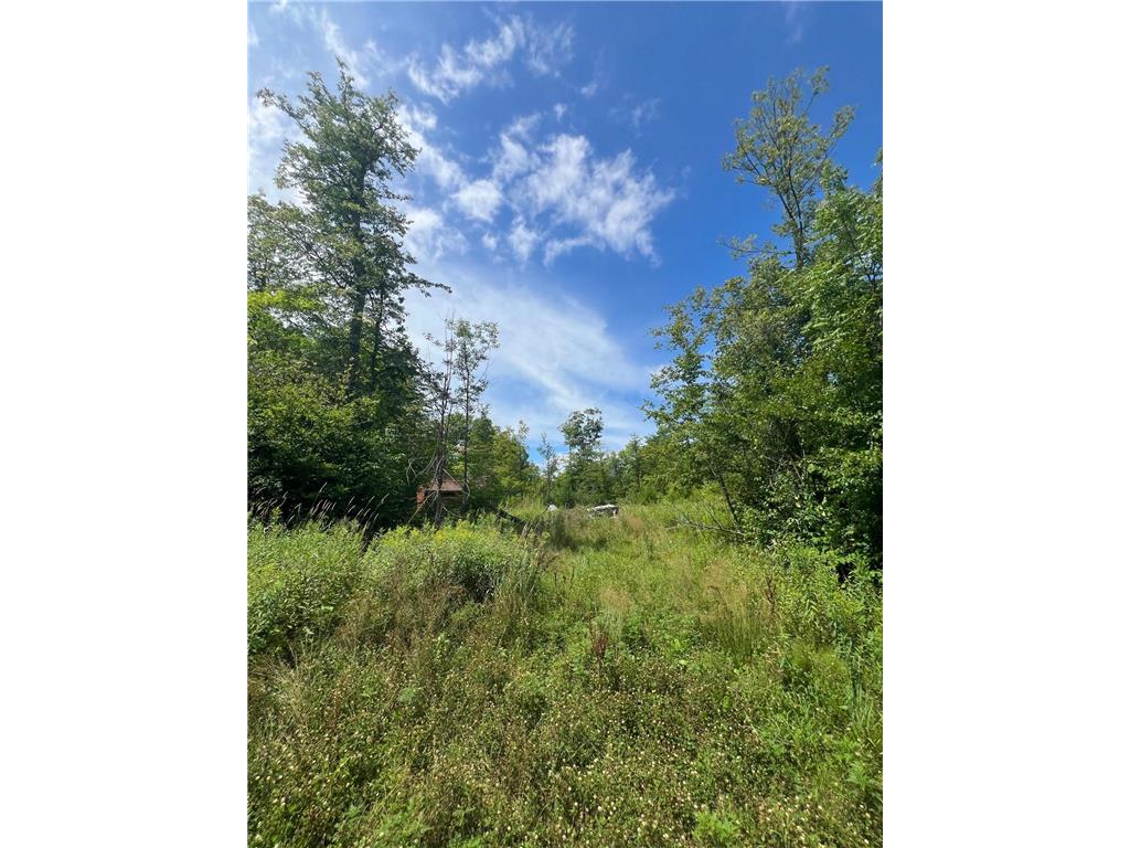 32530 186th Street Lakeside Twp MN 56342 7091927 image3