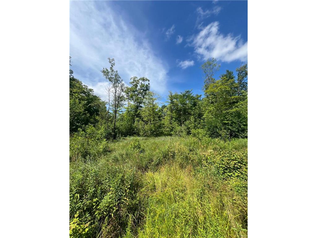 32530 186th Street Lakeside Twp MN 56342 7091927 image6