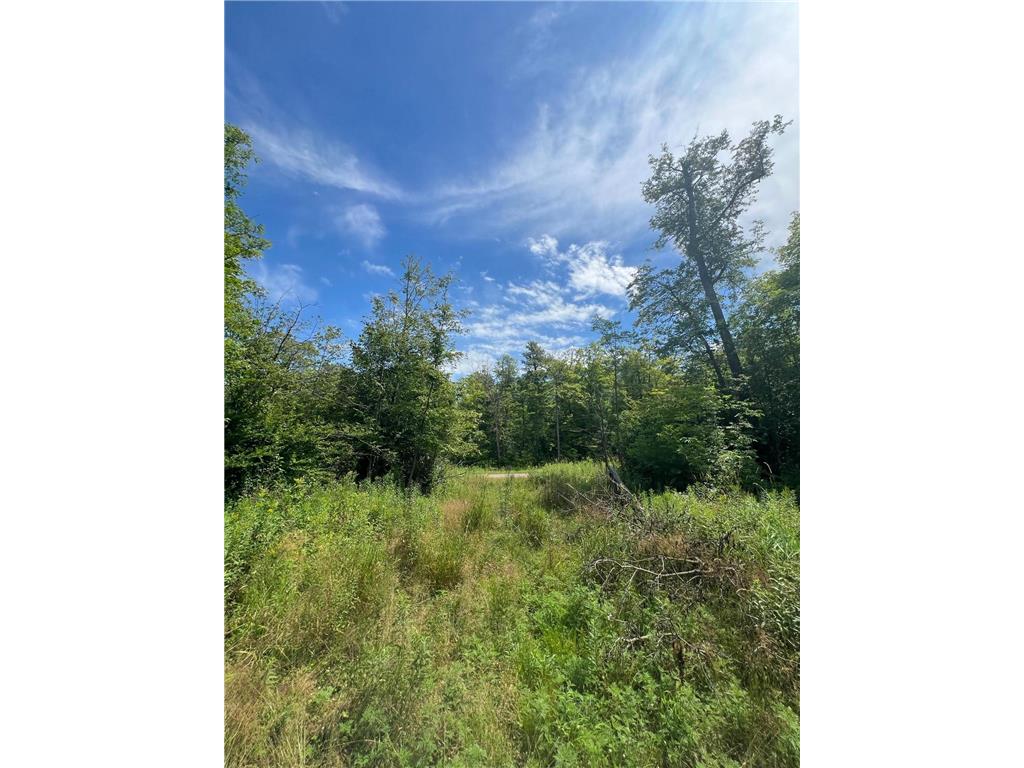 32530 186th Street Lakeside Twp MN 56342 7091927 image8