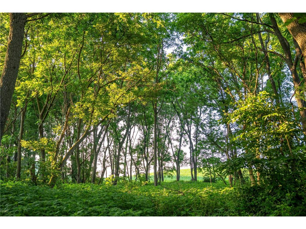 32592 Juniper Road Chatfield Twp MN 55923 6746808 image42