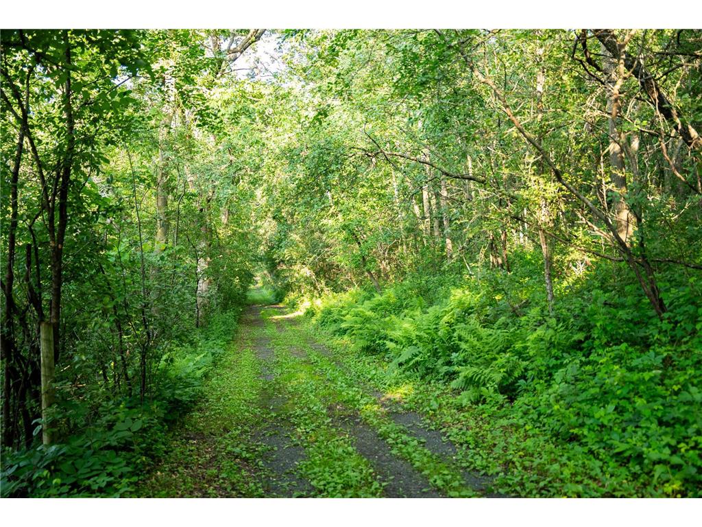 32592 Juniper Road Chatfield Twp MN 55923 6746808 image43