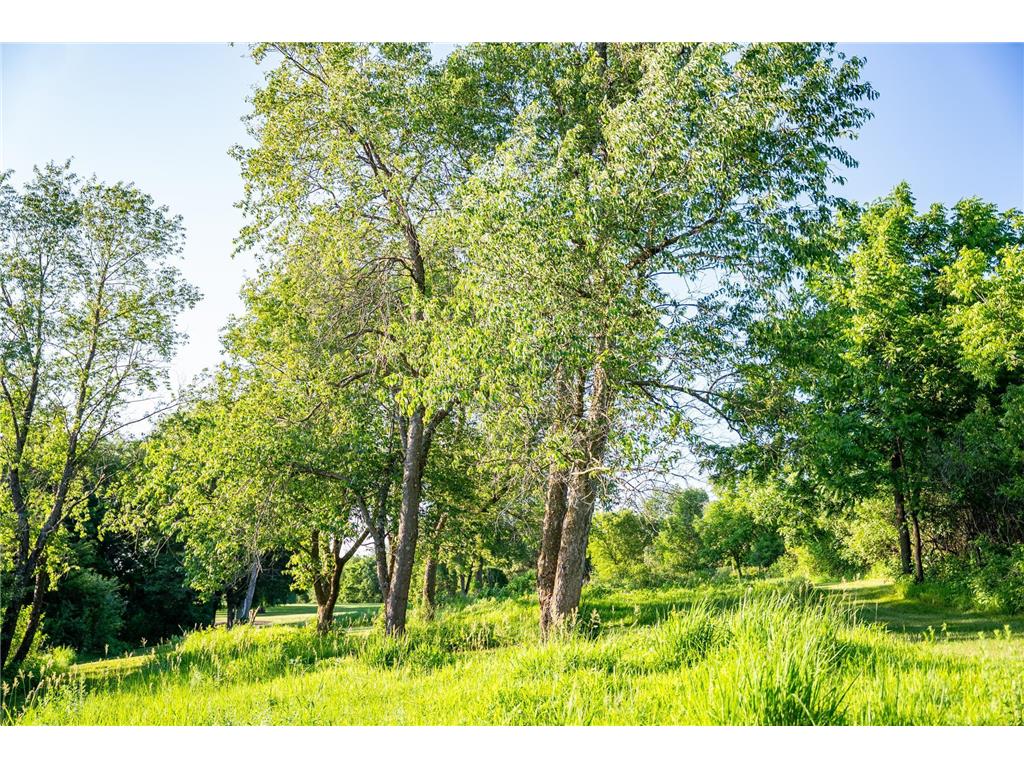 32592 Juniper Road Chatfield Twp MN 55923 6746808 image50