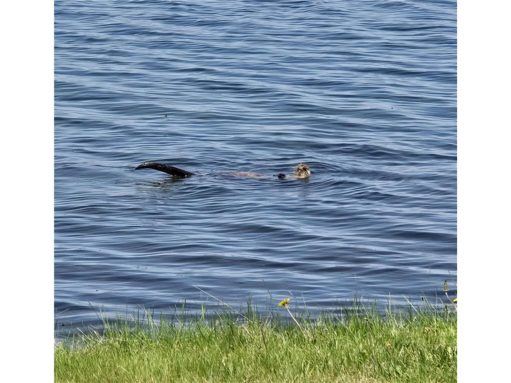 326 2nd Avenue E Federal Dam MN 56641 7082639 image30