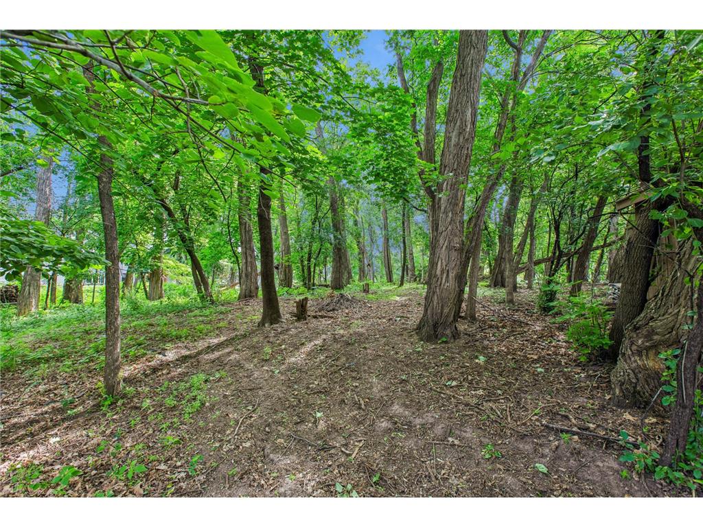 326 Warner Avenue N Mahtomedi MN 55115 7087149 image27