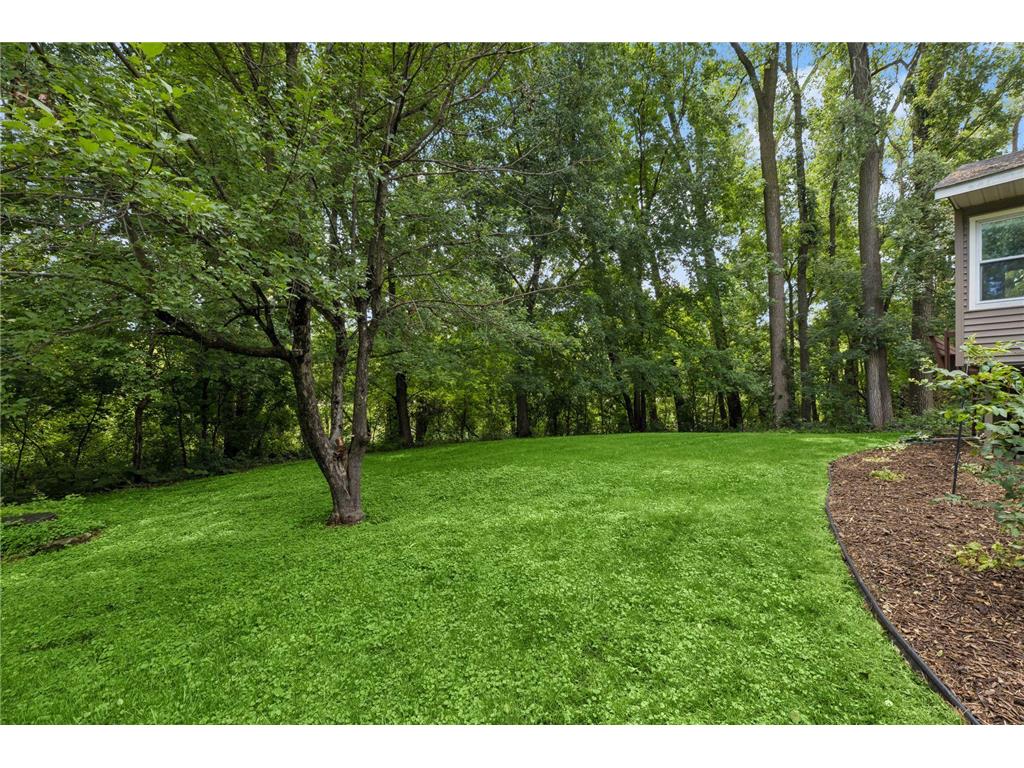 3260 Snelling Avenue N Arden Hills MN 55112 7088777 image9