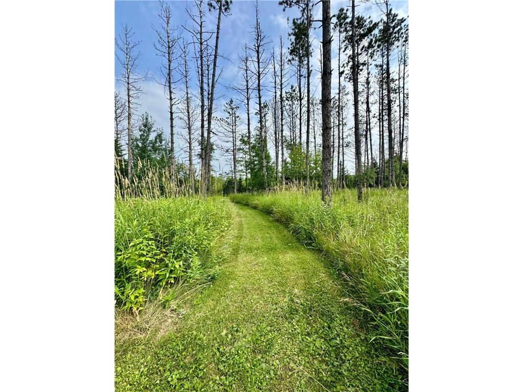 32625 593rd Avenue Warroad MN 56763 6760838 image22