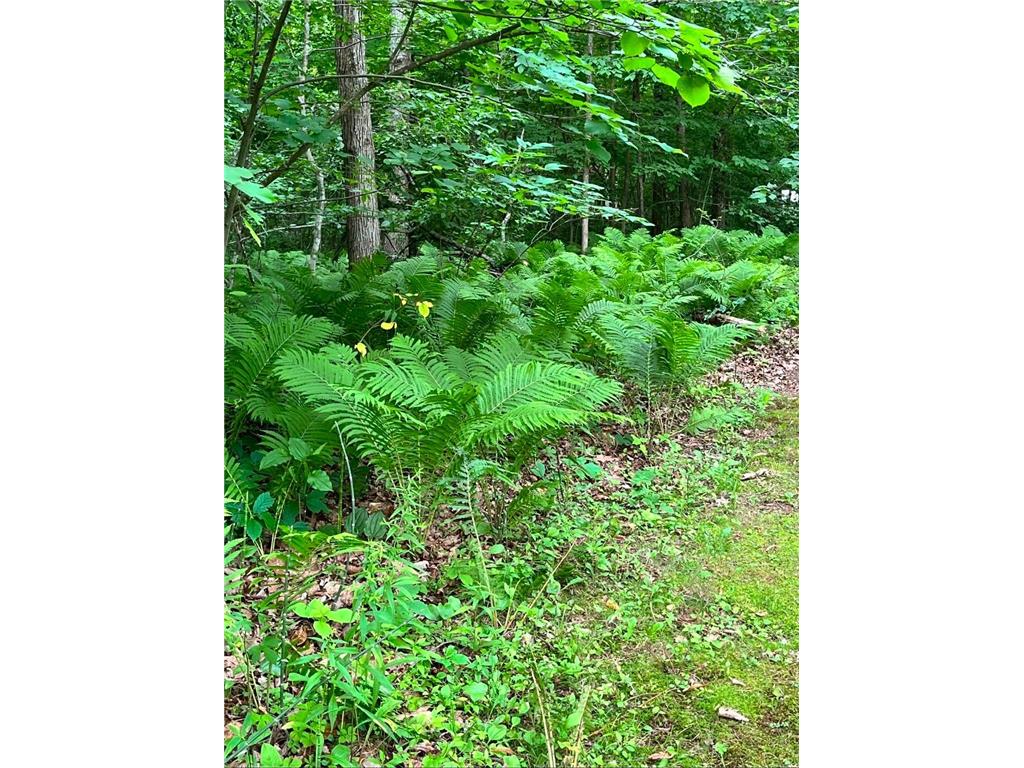 32625 Riverside Drive Pine City Twp MN 55063 - Snake River 7103838 image38
